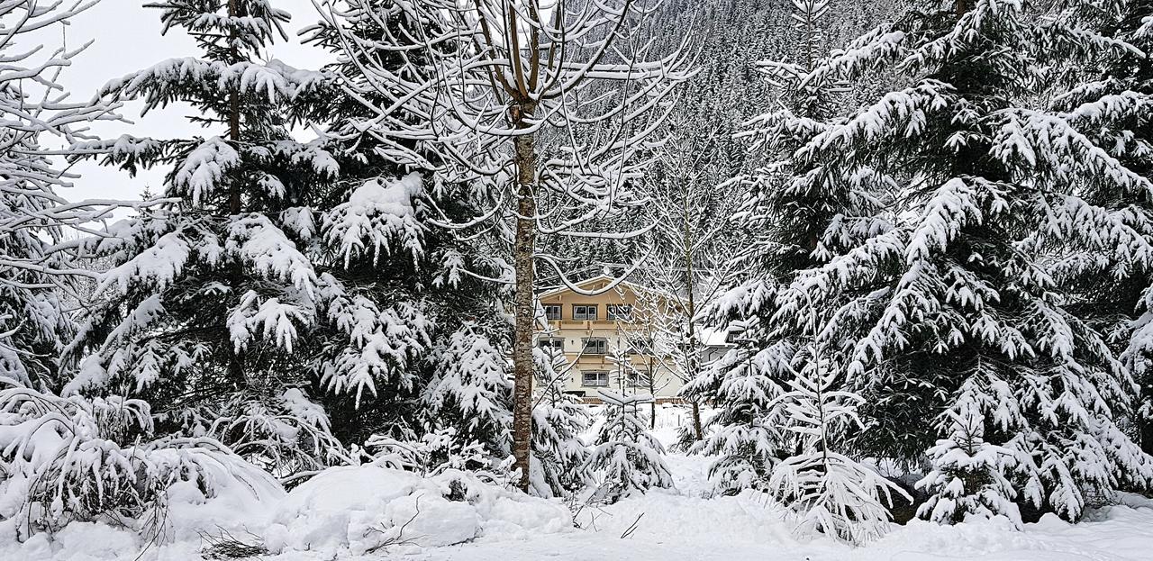 Chalet Amadeus Mayrhofen Zillertal Tirol Buitenkant foto