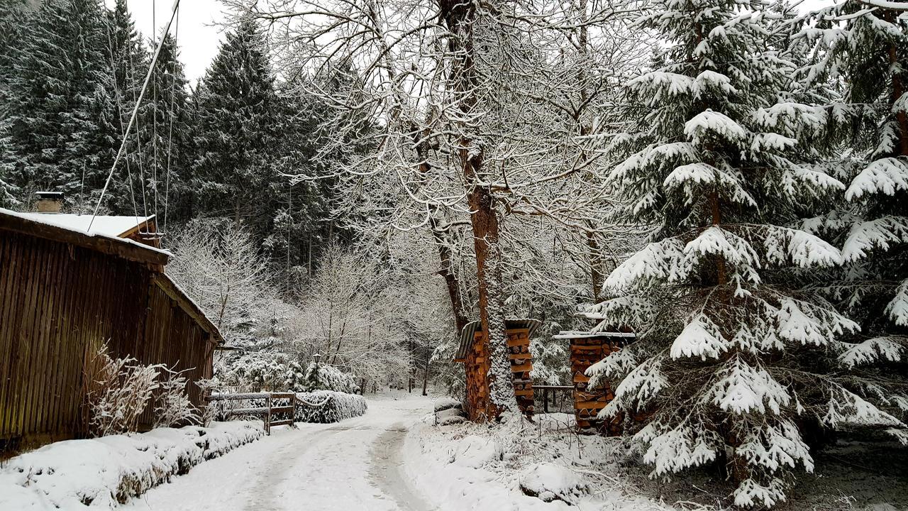 Chalet Amadeus Mayrhofen Zillertal Tirol Buitenkant foto